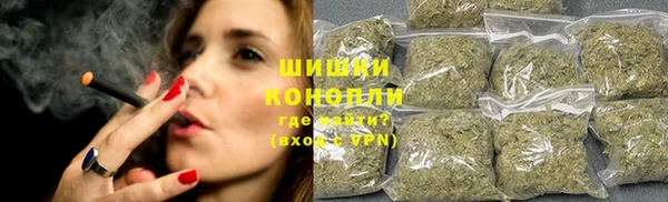 амф Осинники