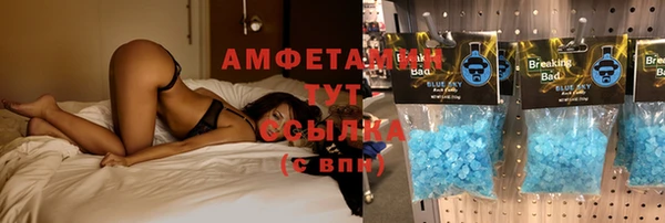 дмт Рославль