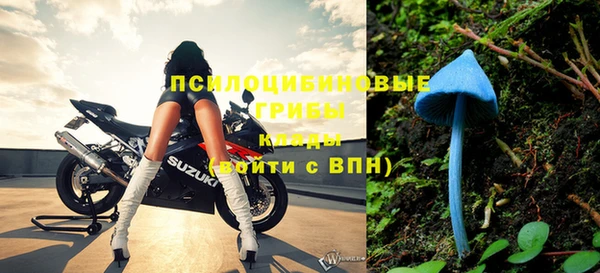 амф Осинники