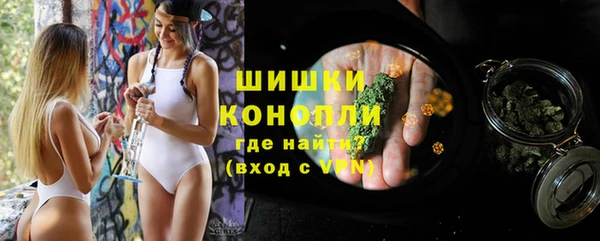 амф Осинники