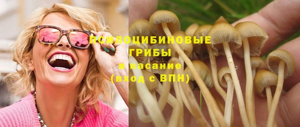 бутират Осташков
