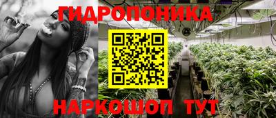 круглые Аргун