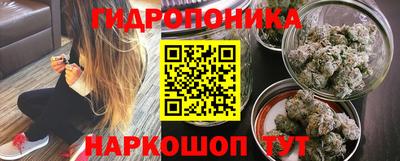 индика Апшеронск