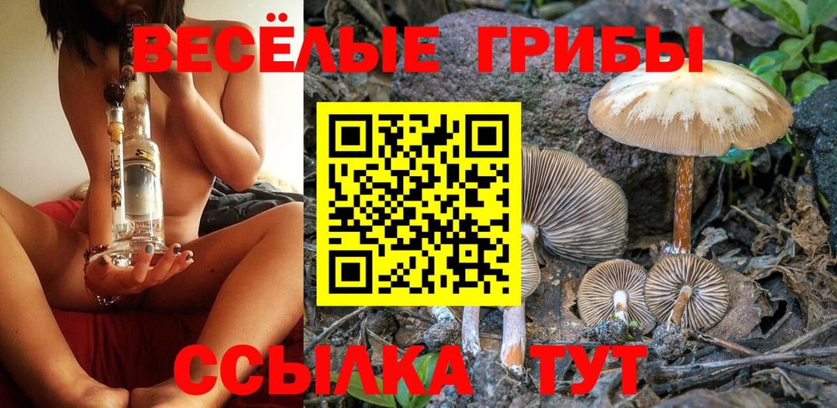 Новосибирск  Галлюциногенные грибы Cubensis  Вход с VPN 