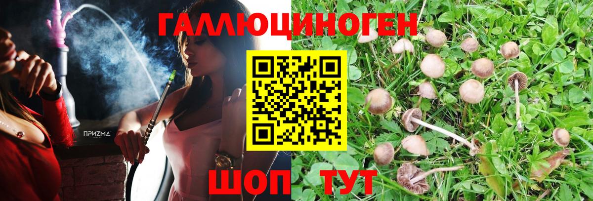 Галлюциногенные грибы Magic Shrooms Новосибирск